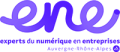 ENE Experts du numérique en entreprises
