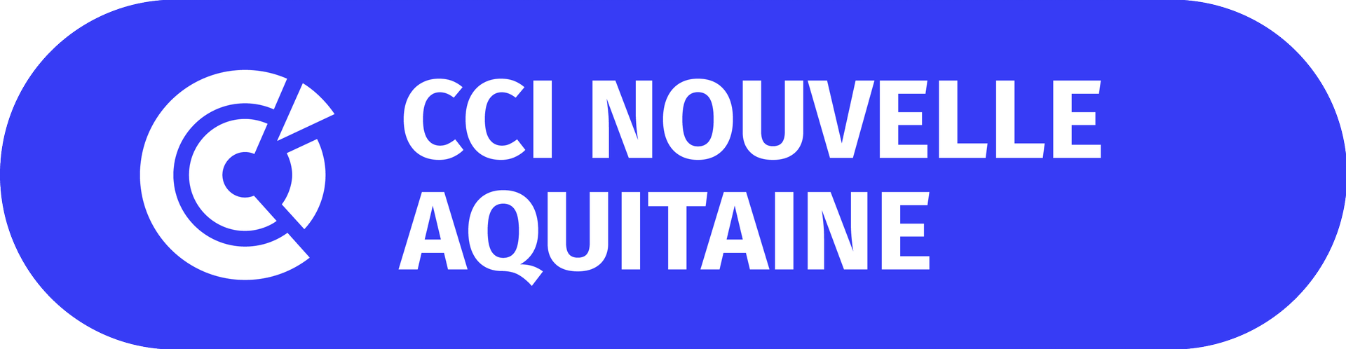 CCI Nouvelle aquitaine