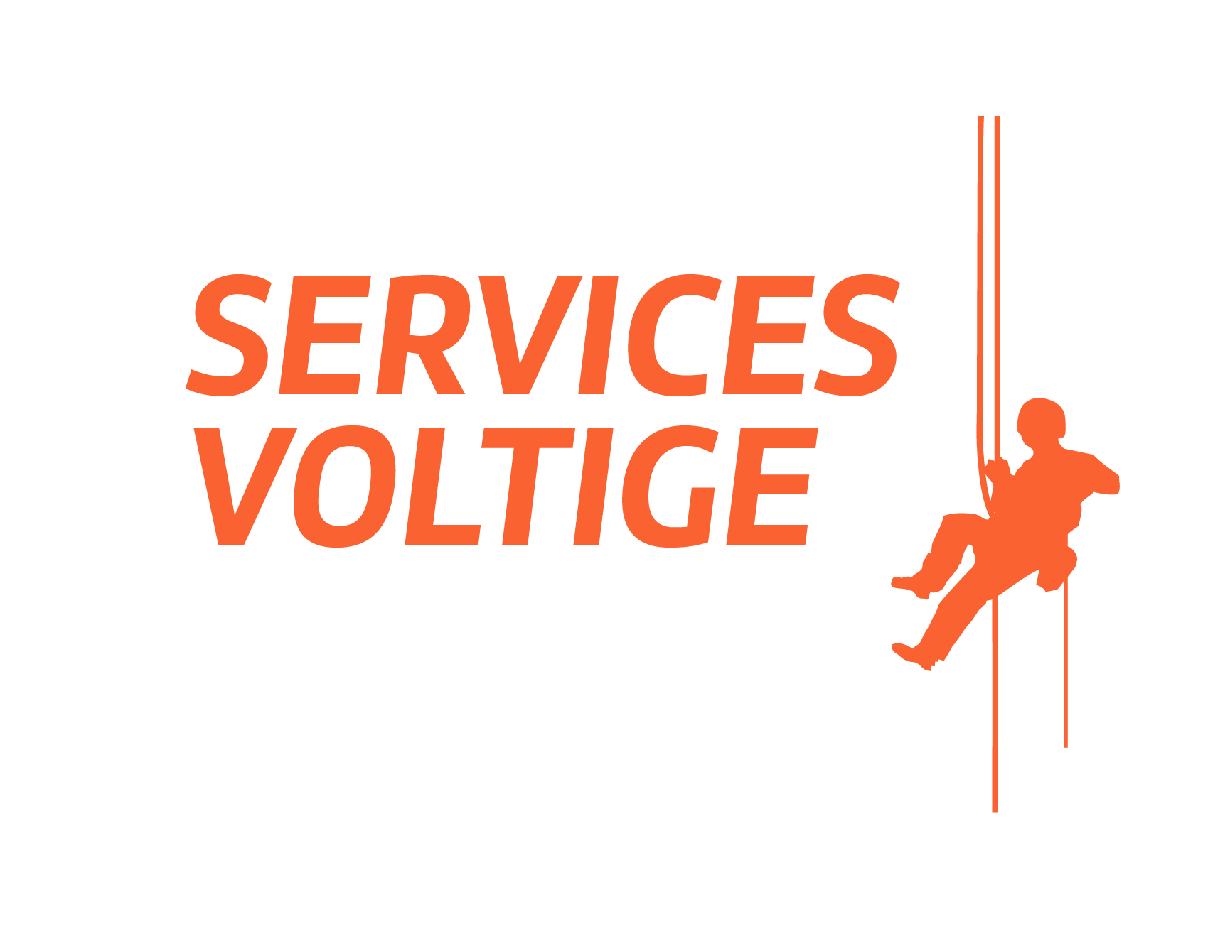 Logo Services Voltige