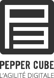 Pepper Cube, l'agilité digitale.