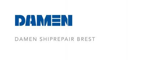 damen_logo_dsbr-high_resolution.jpg